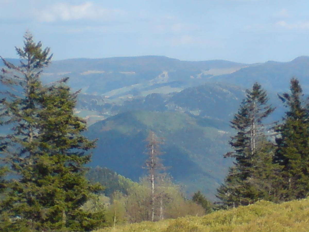Willa Pod Kasztanami Piwniczna-Zdroj Exterior photo